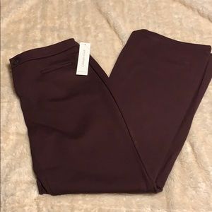 NWT Cold water creek Natural fit Ponte flare pants
